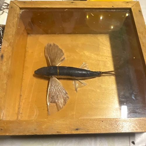 Fisch dekofigur - dekofigur, im