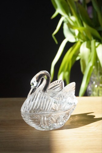 Schwan deckeldose aus - schwan,